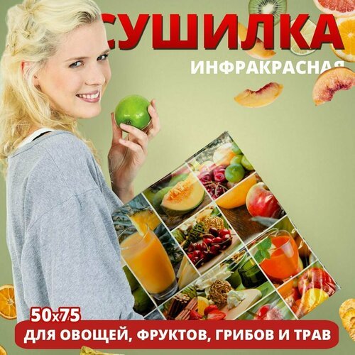 Электросушилка для овощей, фруктов, грибов 'Самобранка', 75*50 см.